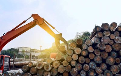 Licença ambiental, outorga hídrica e autorização de supressão vegetal: a busca do tratamento isonômico entre grandes, médios e pequenos – prazo razoável de duração do processo administrativo para todos.