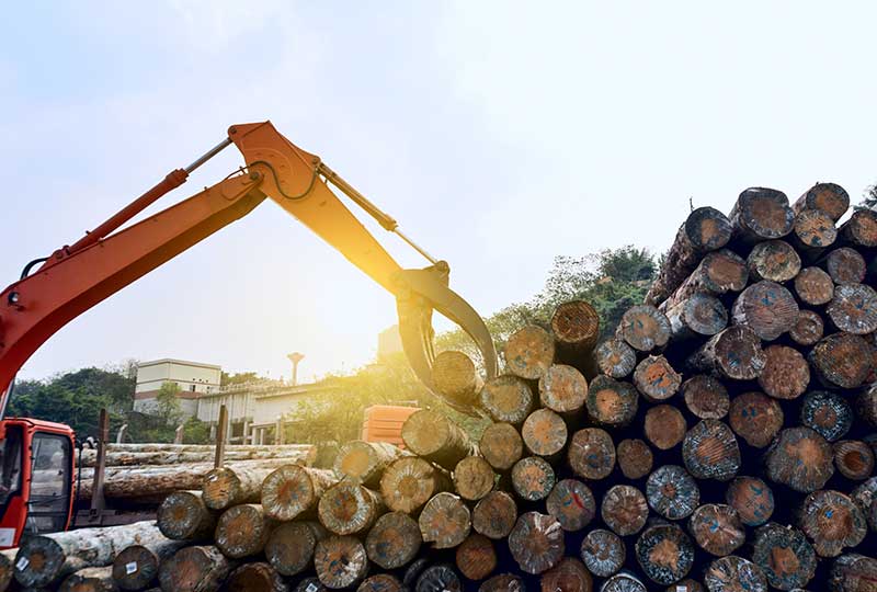 Licença ambiental, outorga hídrica e autorização de supressão vegetal: a busca do tratamento isonômico entre grandes, médios e pequenos – prazo razoável de duração do processo administrativo para todos.